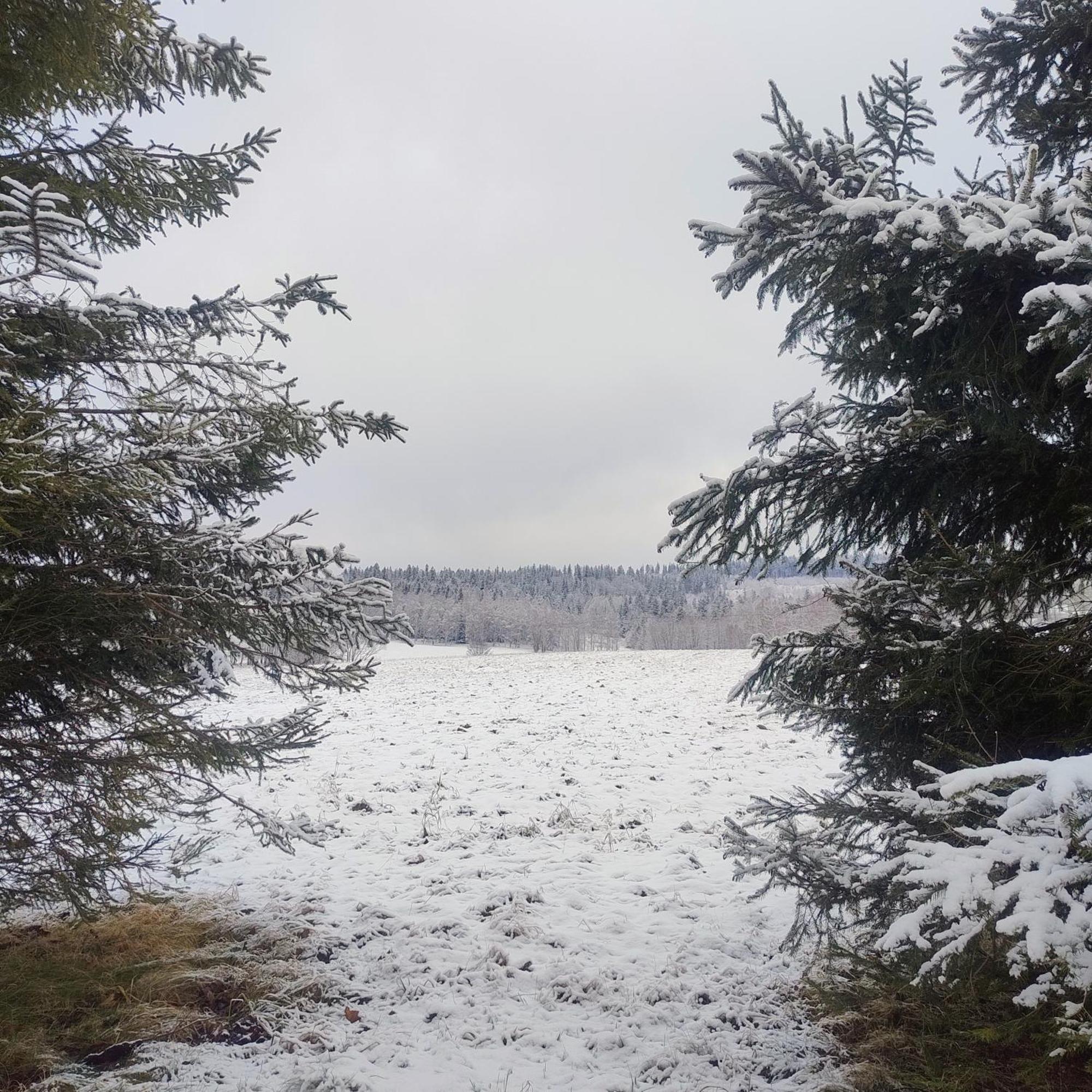 Zakatek Pod Lipka Apartamento Stary Gieraltow Exterior foto